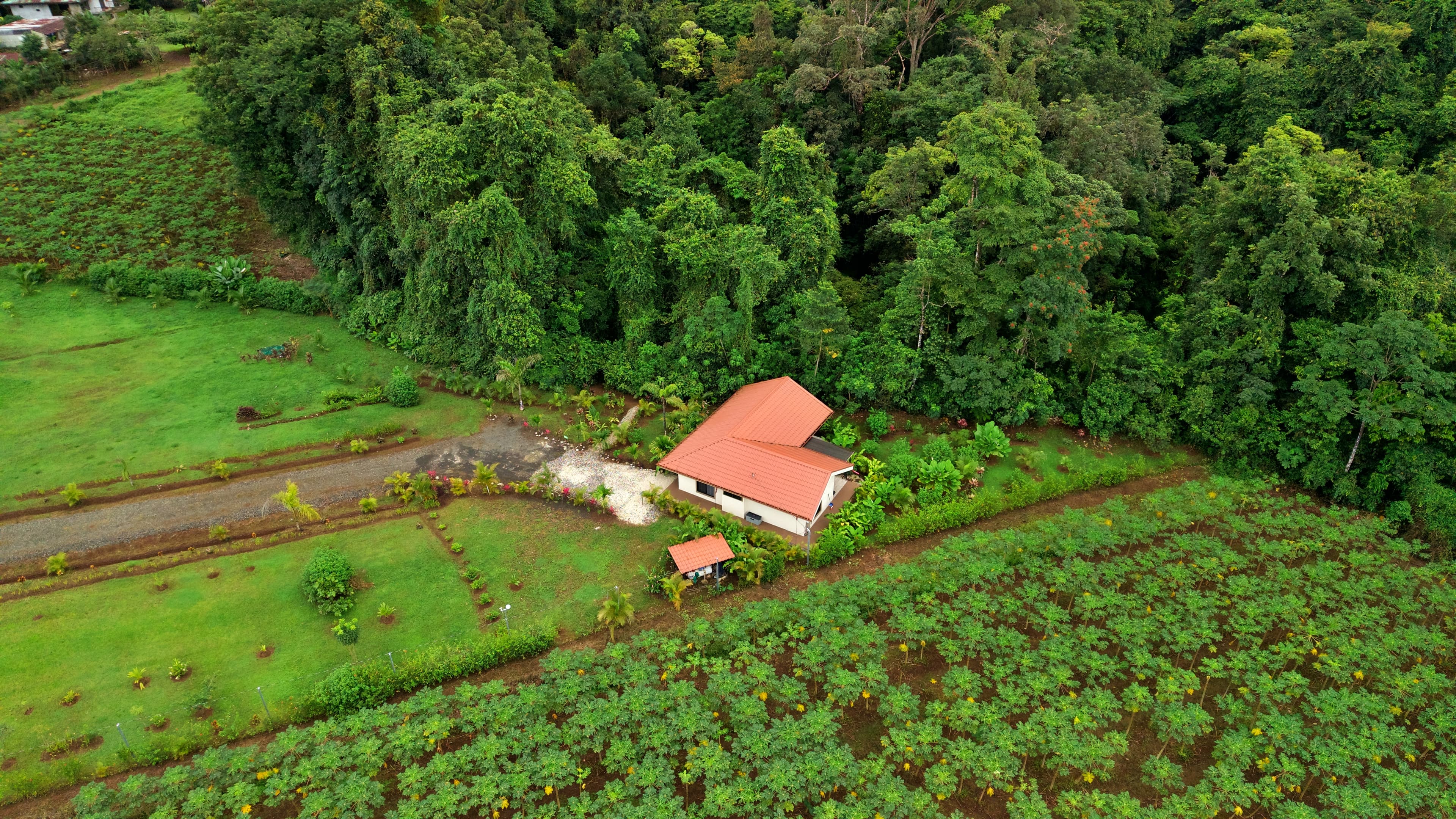 Vista aérea de la villa junto al bosque